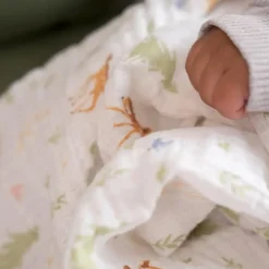 Blankets|Blankets><noscript><img width=