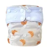 Cloth Diapers|Cloth Diapers>La Petite Ourse Evolution Washable Diaper - Crescent