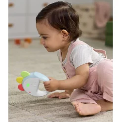 Discount Farmstand Feelin' Clucky Musical Tambourine Developmental Toys