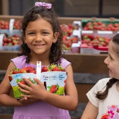 Fashion Accessories>Nano Flowers 3pk Scrunchies Lilac