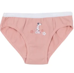 Underwear & Socks>Nano Flowers 3pk Undies 2-12 Pink