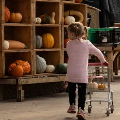 Flowers Poetry Knit Dress 2-8 Kids Dresses & Rompers