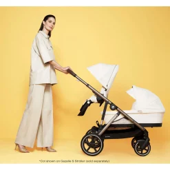 Strollers|Strollers & Trailers><noscript><img width=