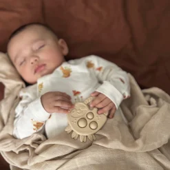 Gift Set - Beige eucalyptus Pacifiers & Clips|Pacifiers & Clips