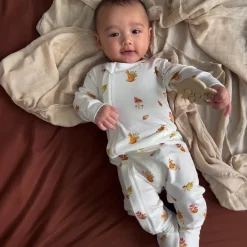 Gift Set - Beige eucalyptus Pacifiers & Clips|Pacifiers & Clips