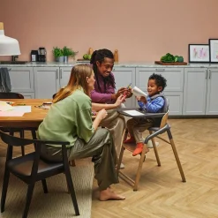 High Chairs & Booster Seats|High Chairs & Booster Seats>Bugaboo Giraffe Complete Wwood/grey