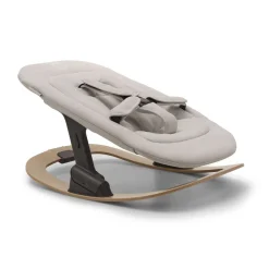 Swings & Rockers><noscript><img width=