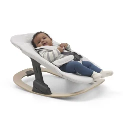 Swings & Rockers><noscript><img width=