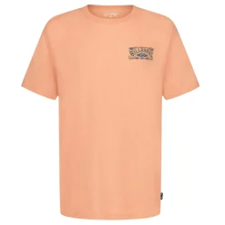 Tops>Billabong Heritage T-shirt 4-7 Orange