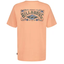 Tops><noscript><img width=