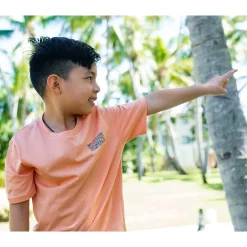 Tops><noscript><img width=