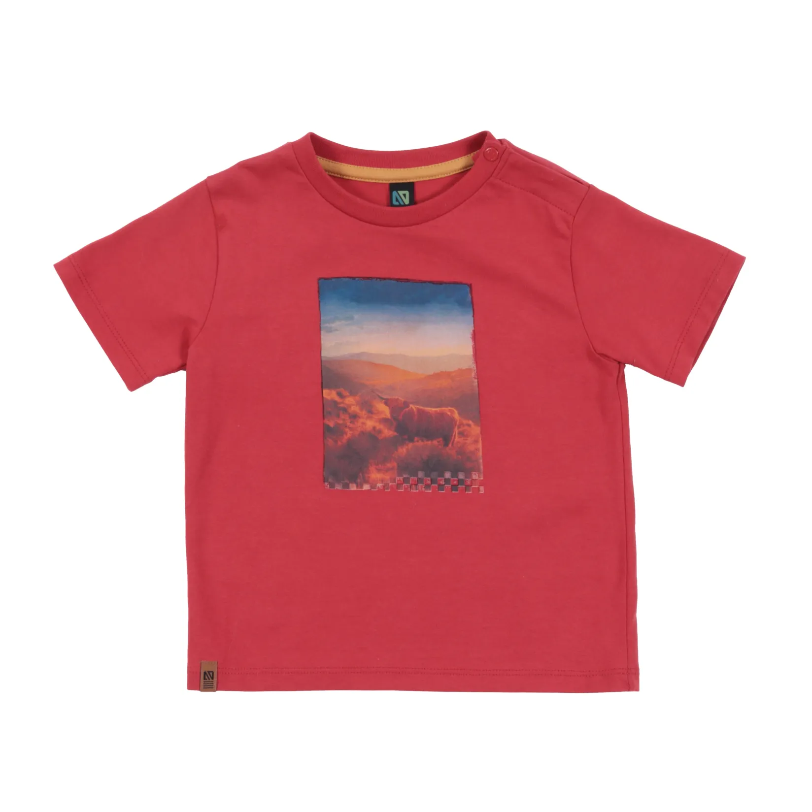 Best Horse T-shirt 6-24m BOY Tops