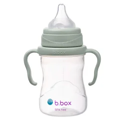 4in1 Cup Pack - Sage Kids Breastfeeding|Tableware