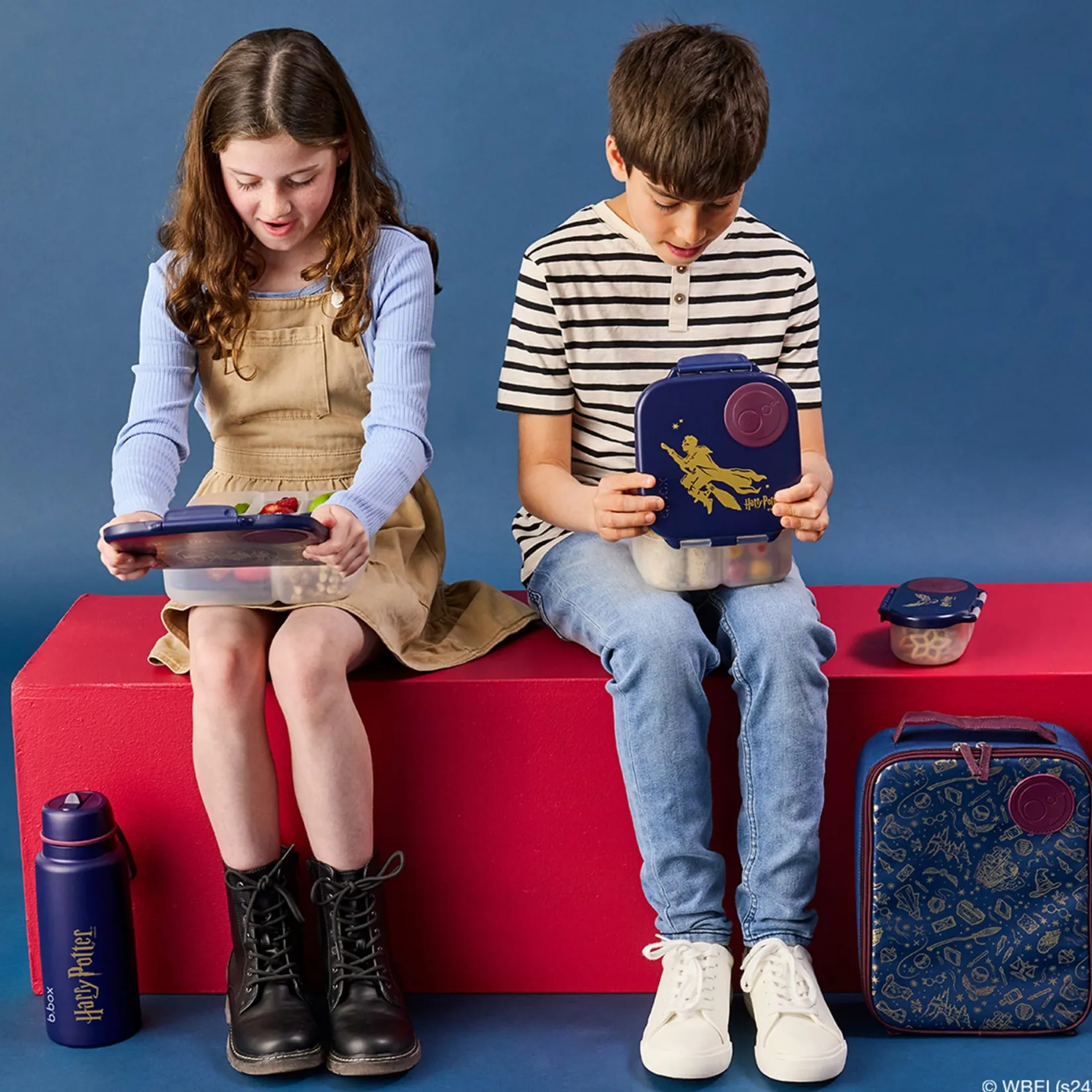 Discount Insulated Lunch Bag - Harry Potter Kids Lunch Boxes