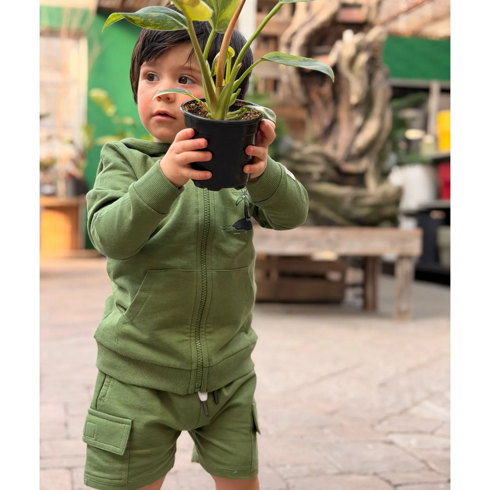 Fleeces And Sweatshirts|Tops>Camp by Birdz Island Hoodie 2-8y Vert
