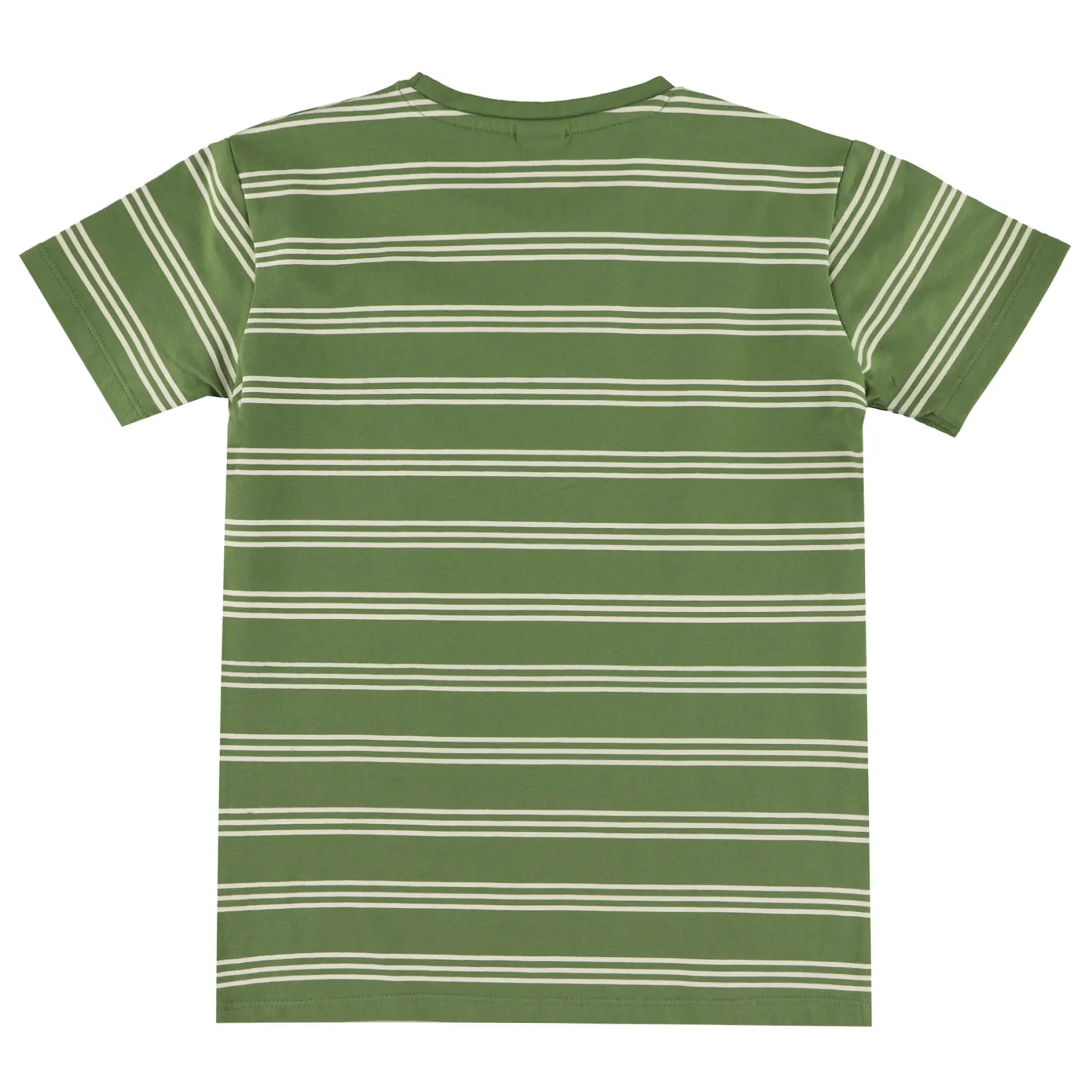 Tops>Camp by Birdz Island Striped T-shirt 2-8y Vert