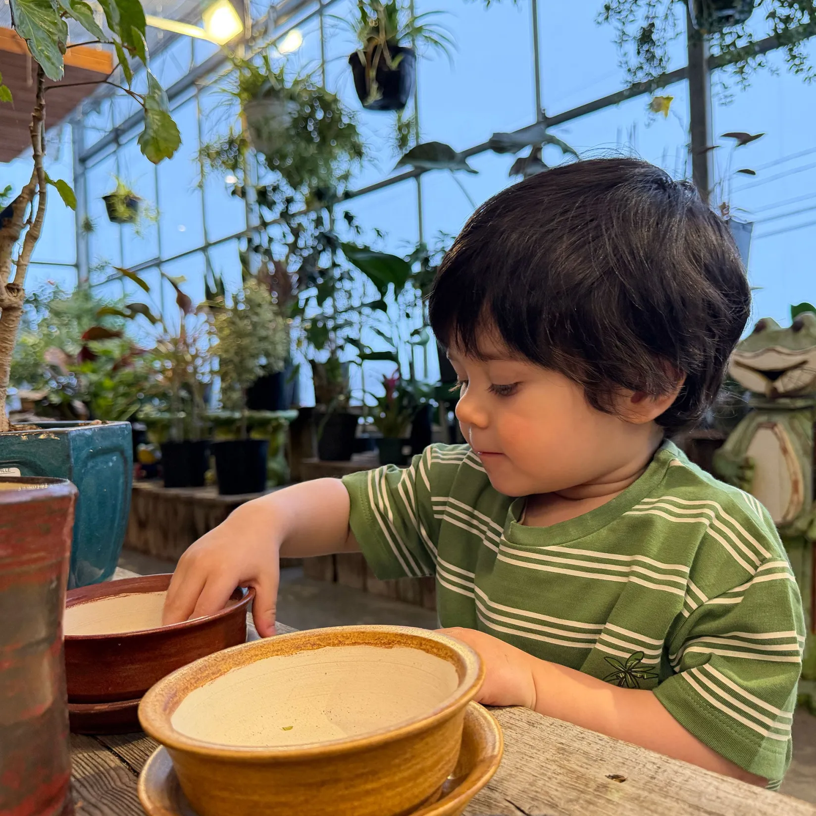 Tops>Camp by Birdz Island Striped T-shirt 2-8y Vert