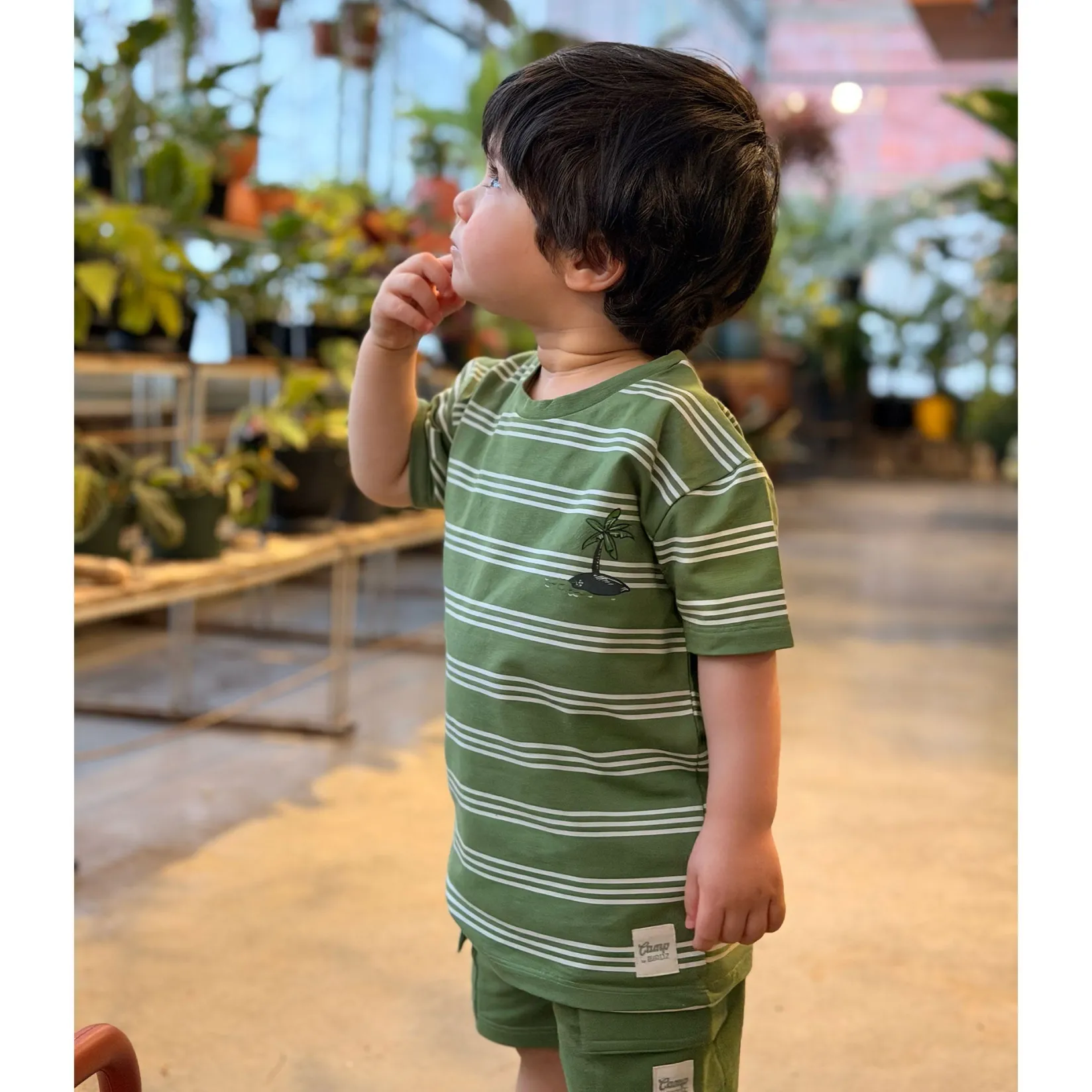 Tops>Camp by Birdz Island Striped T-shirt 2-8y Vert