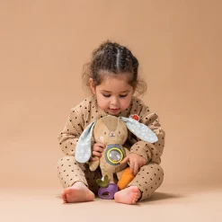 Developmental Toys><noscript><img width=