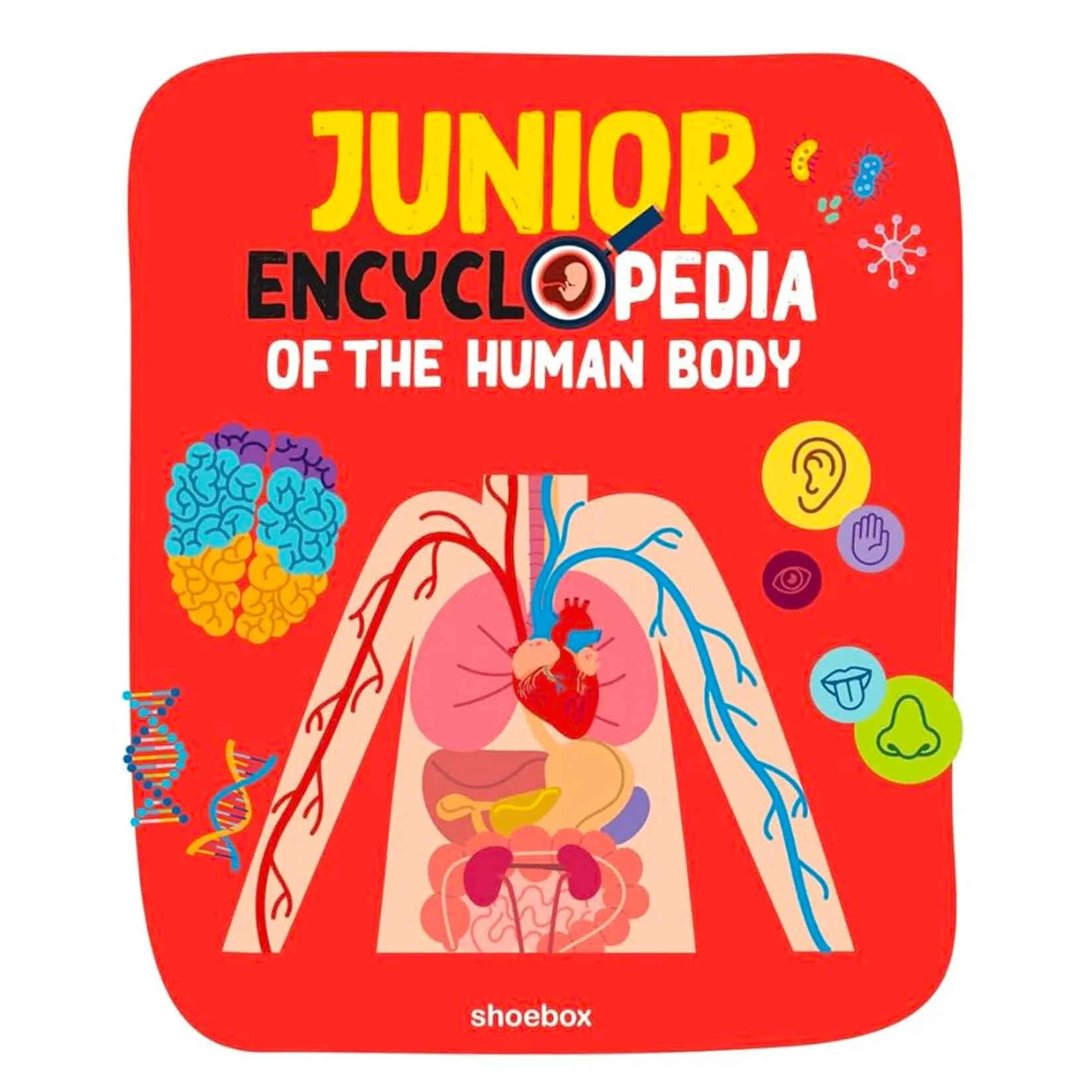 Junior Encyclopedia Of Human Body English Books|2 Years And Over