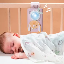 Developmental Toys><noscript><img width=