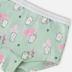 Clearance Kittens Panties (3) 2-12 Kids Underwear & Socks
