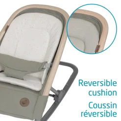 Swings & Rockers><noscript><img width=