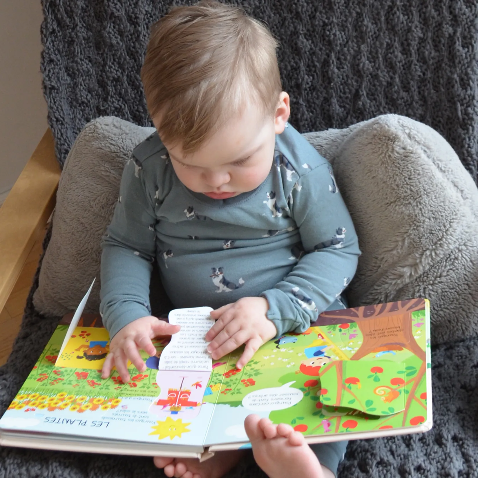 Best La ferme - Pourquoi ? - Questions et réponses pour les tout-petits 2 Years And Over|Baby 0-2 Years