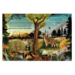 Les Secrets De La Forêt 4 Years And Over