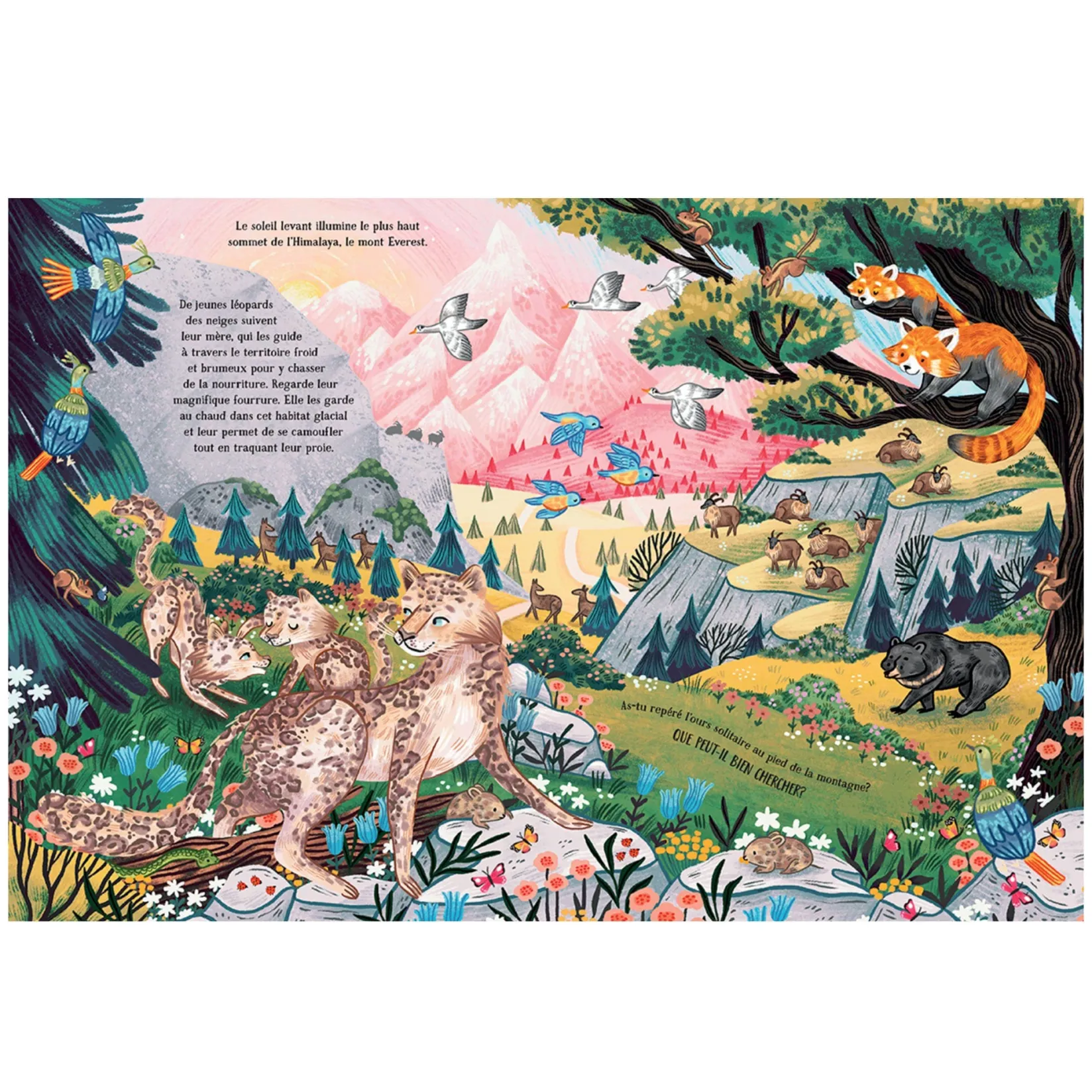 4 Years And Over|2 Years And Over>Prologue Les Secrets De La Montagne