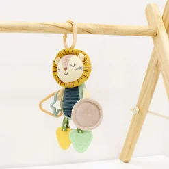 Best Lion Mirror Activity Developmental Toys