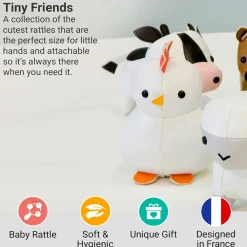 Developmental Toys>Little Big Friends Little Friends - The Hen