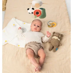 Developmental Toys><noscript><img width=