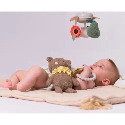 Developmental Toys><noscript><img width=