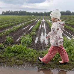 Beanies><noscript><img width=