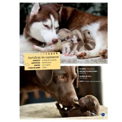 Best Mon Grand Animalier des Bébés Quebec Books|2 Years And Over