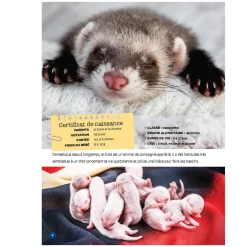 Best Mon Grand Animalier des Bébés Quebec Books|2 Years And Over