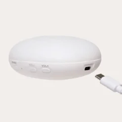 Clearance Organic Humming Seal With lamp- Polar Decorative Objects