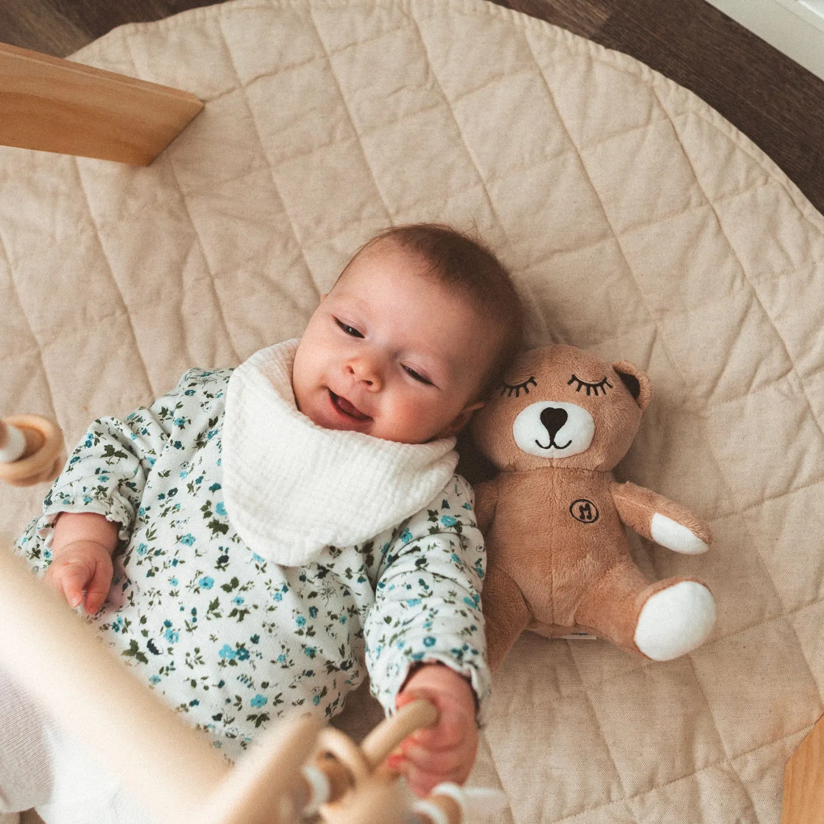 Luminous & Musical Plush Toy|Plush Toys>Moka Musical Stuffed