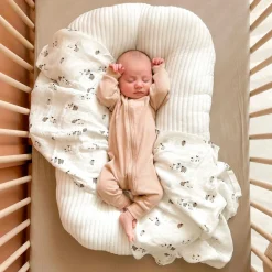 Blankets|Blankets><noscript><img width=