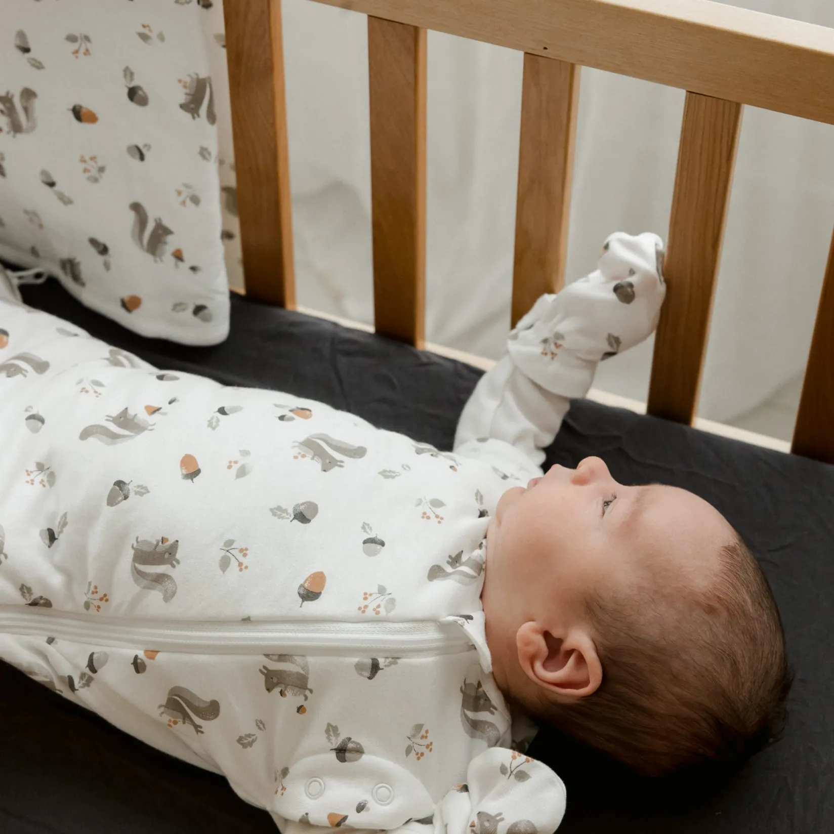 Online Newborn Bamboo Squirrel Sleep Bag Sleep Bags|Pyjamas