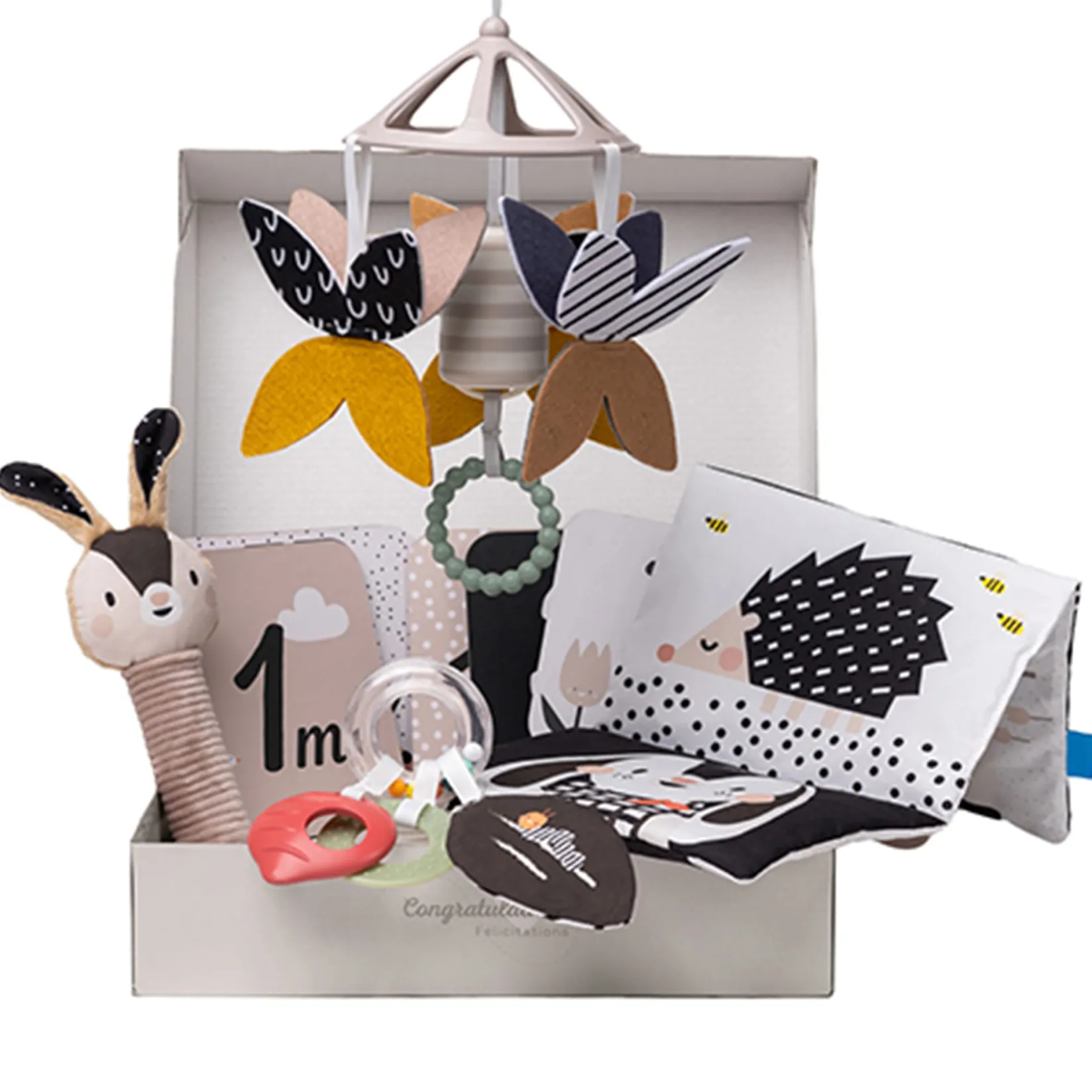 Developmental Toys>Taf Toy Newborn Black & White Kit 10 Pieces