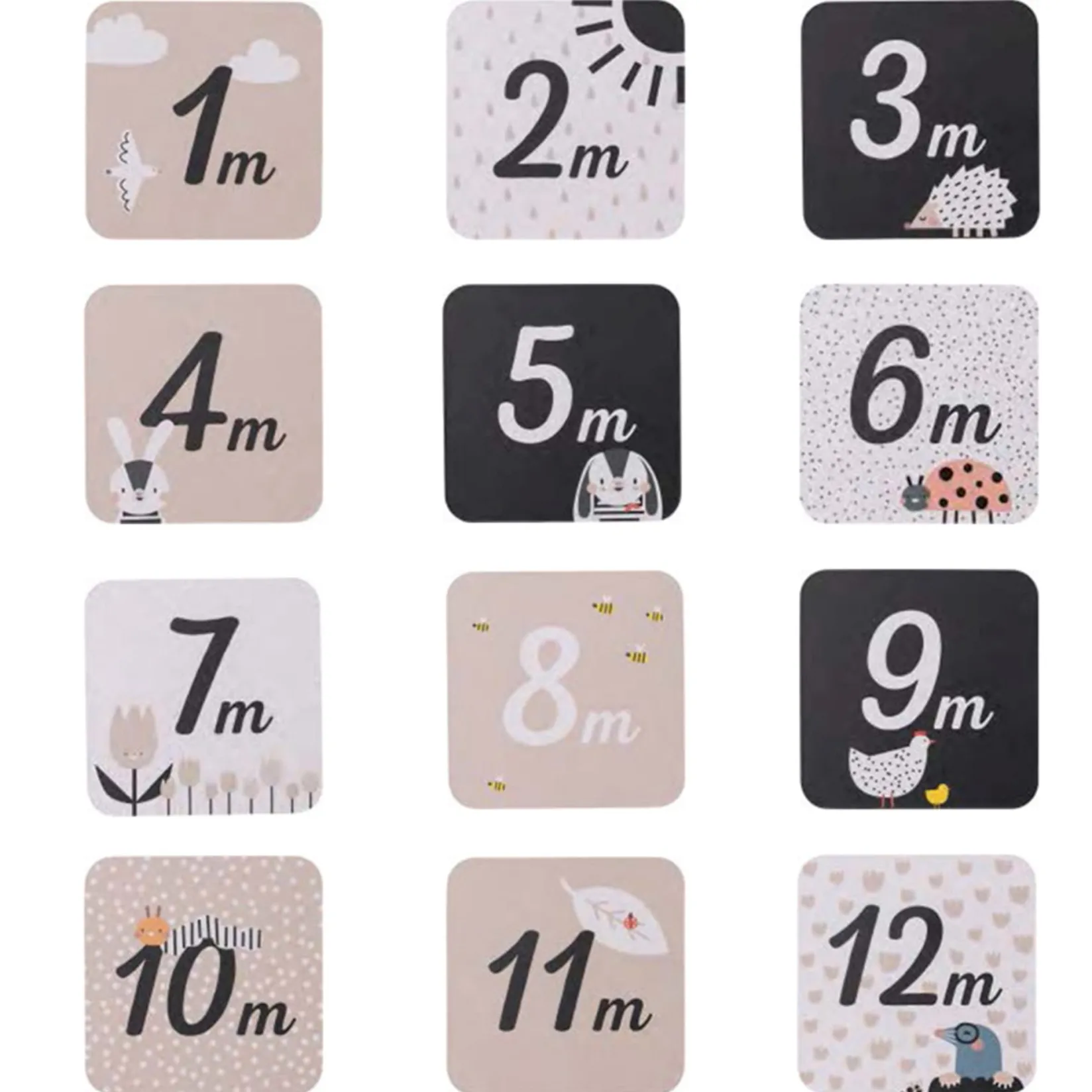 Developmental Toys>Taf Toy Newborn Black & White Kit 10 Pieces