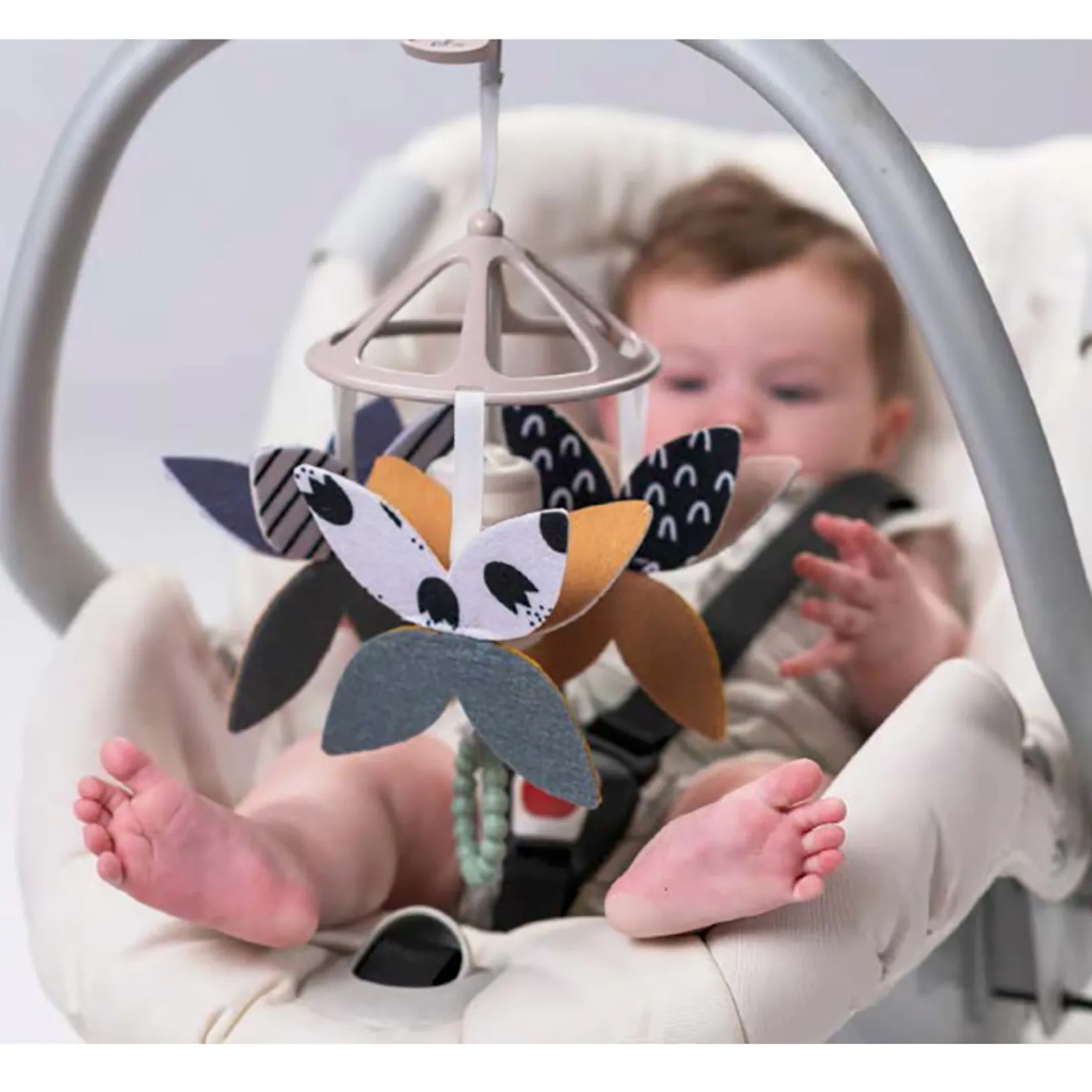 Developmental Toys>Taf Toy Newborn Black & White Kit 10 Pieces