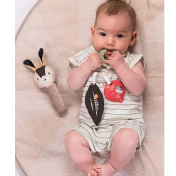 Developmental Toys><noscript><img width=