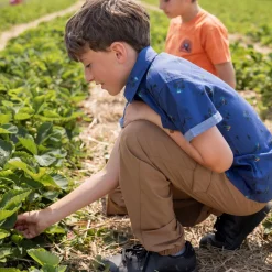 Clearance Off Road Jogger Pant 2-12 Kids/BOY Pants & Jeans