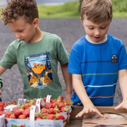 Outlet Off Road Mountain T-shirt 2-12 Kids/BOY Tops