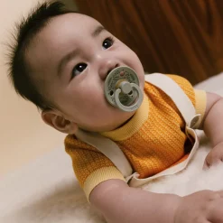 Pacifiers & Clips|Pacifiers & Clips>Bibs Pacifier 6-18(2) - Leaf Sage (Size2)