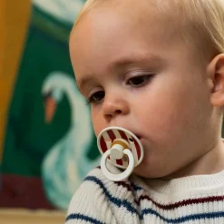 Hot Pacifier 0-6m (2) - Holiday Print Limited Edition (size 1) Pacifiers & Clips|Pacifiers & Clips