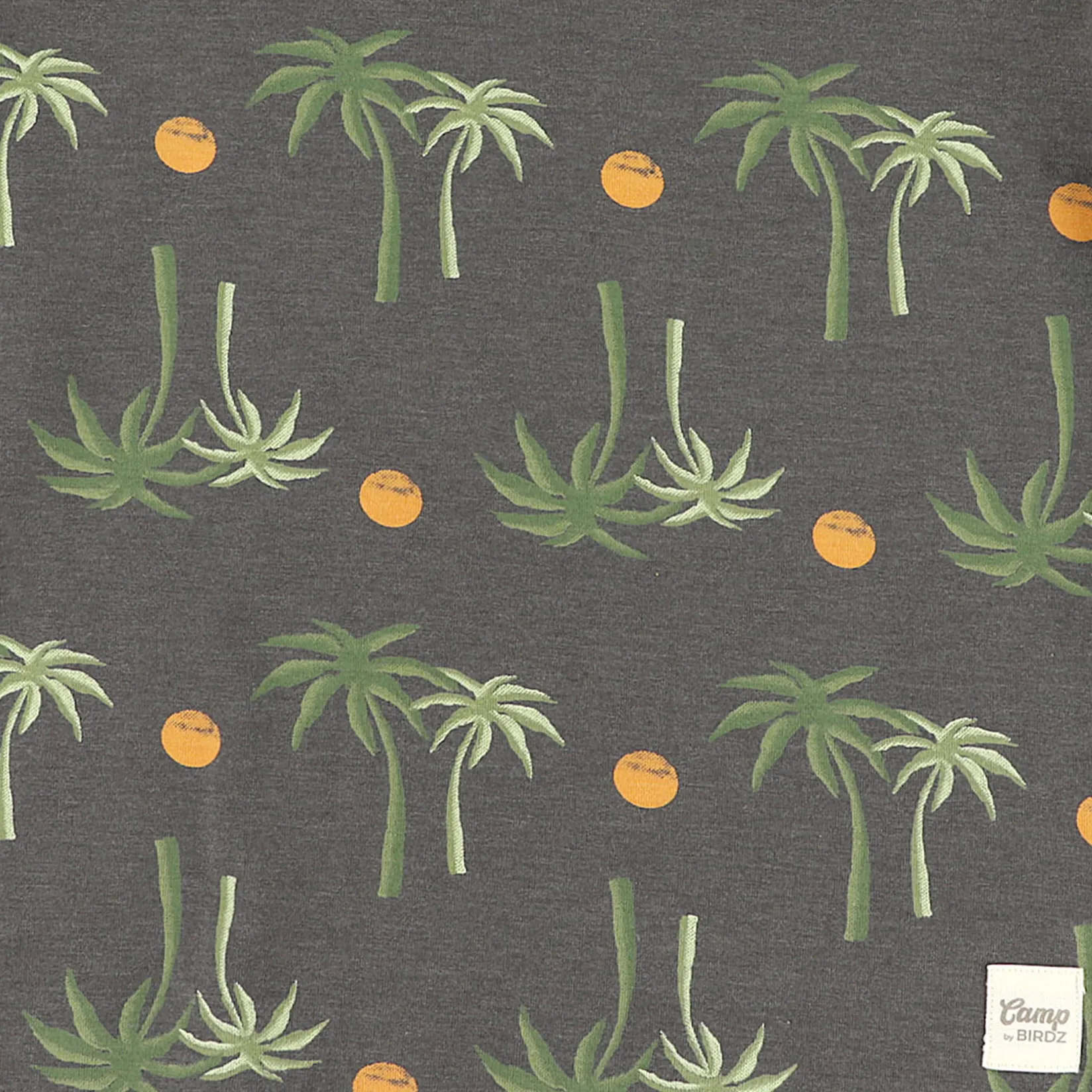 Tops>Camp by Birdz Palm T-shirt 2-8y Charcoal